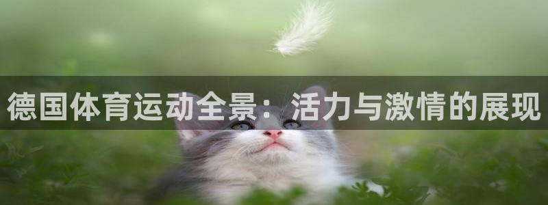 五星體育手機(jī)版下載：德國體育運(yùn)動全景：活力與激情的展現(xiàn)