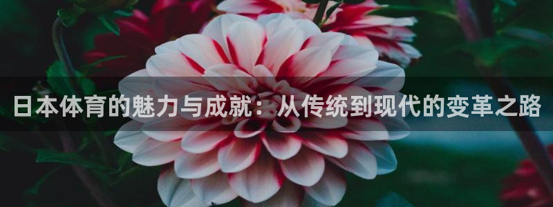 五星體育體育新聞：日本體育的魅力與成就：從傳統(tǒng)到現(xiàn)代的變革之路