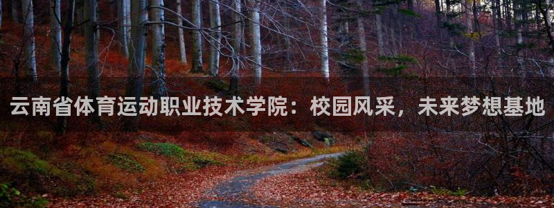 五星體育寇婷婷簡歷：云南省體育運(yùn)動職業(yè)技術(shù)學(xué)院：校園風(fēng)采，未來夢想基地