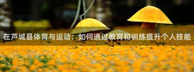 五星體育微博：在蘆城縣體育與運動：如何通過教育和訓練提升個人技能