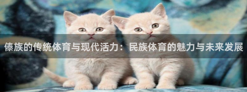 五星體育 電視貓：傣族的傳統體育與現代活力：民族體育的魅力與未來發展