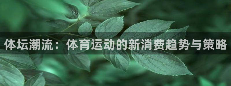 五星體育馬曉薇：體壇潮流：體育運動的新消費趨勢與策略