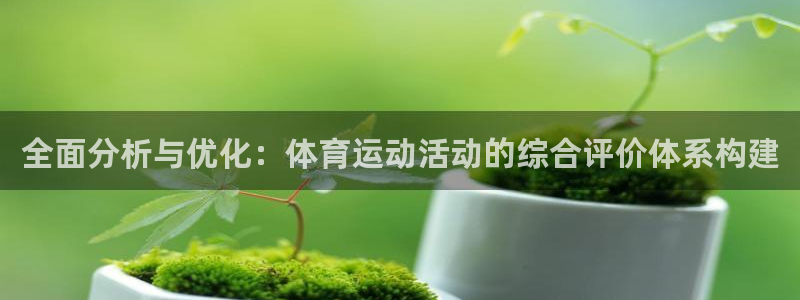 五星體育阮奶奶：全面分析與優化：體育運動活動的綜合評價體系構建